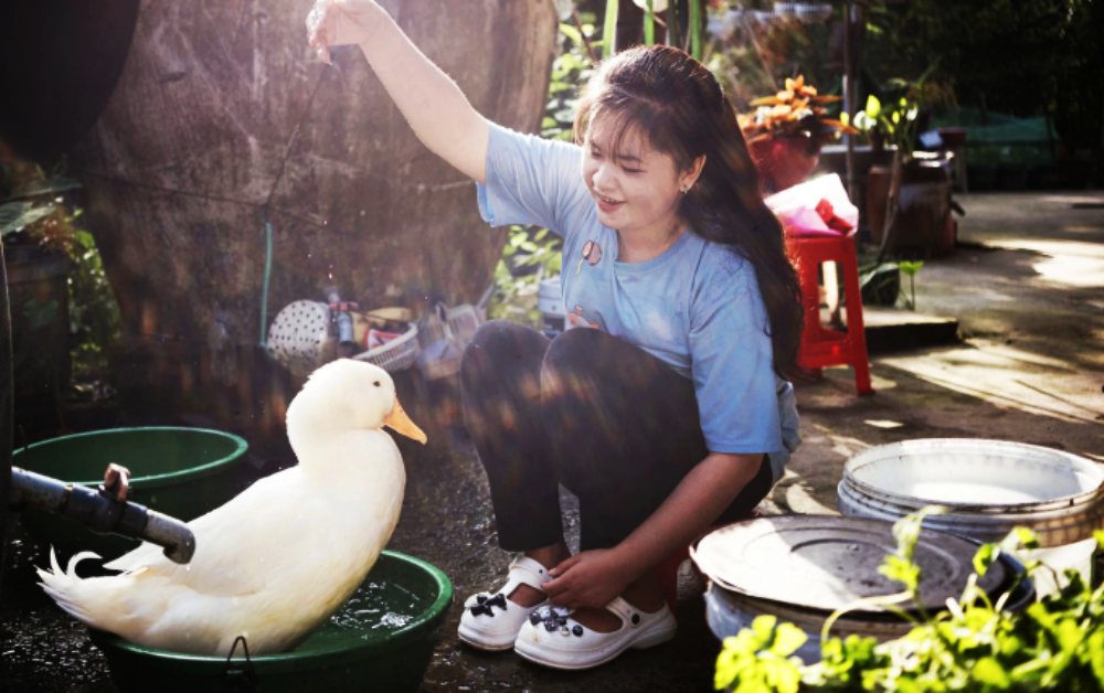 Cô gái nghèo và chú vịt bỗng dưng nổi tiếng khắp châu Á