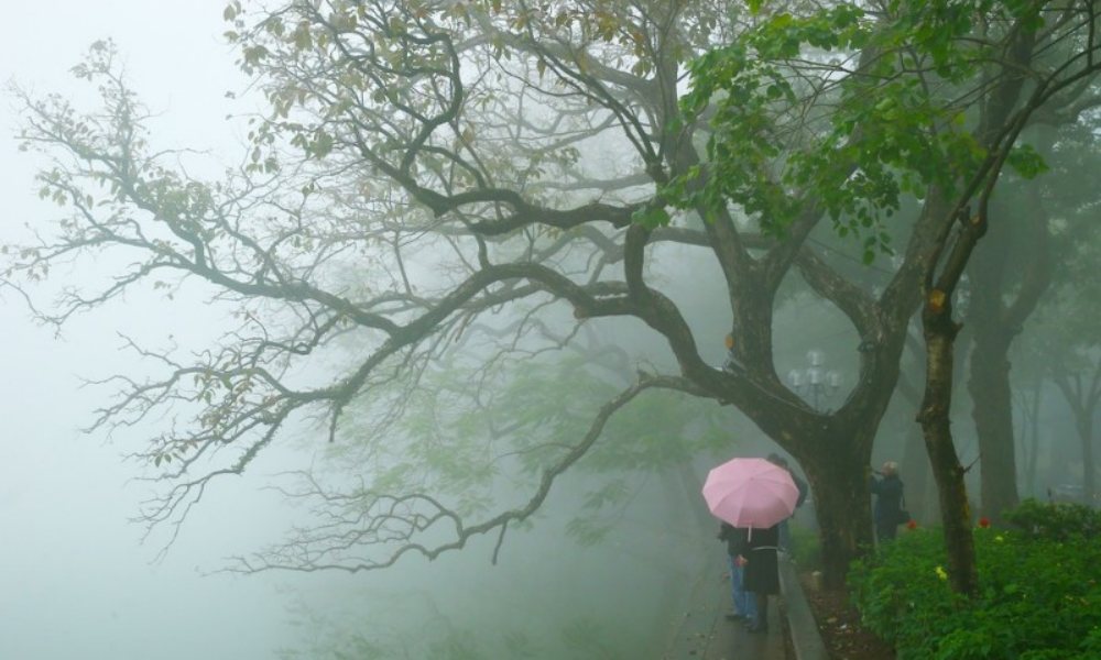 Dự báo thời tiết Hà Nội ngày mai 17/3/2024: Hà Nội nồm ẩm, mưa phùn và sương mù