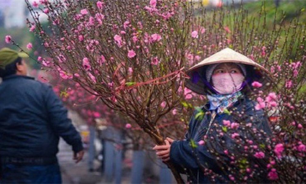 Dự báo thời tiết Tết Nguyên đán Ất Tỵ 2025