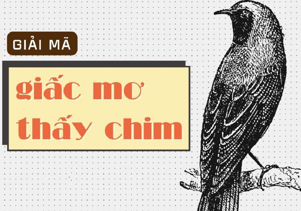 Nằm mơ thấy con chim báo hiệu điềm may hay rủi?