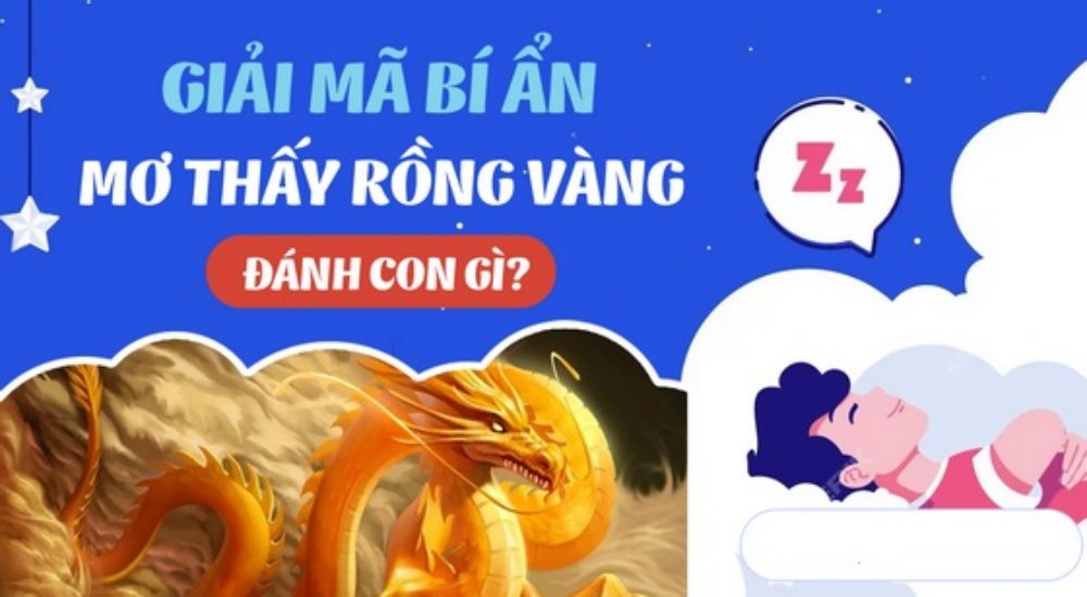 Mơ thấy con rồng vàng đánh số gì?