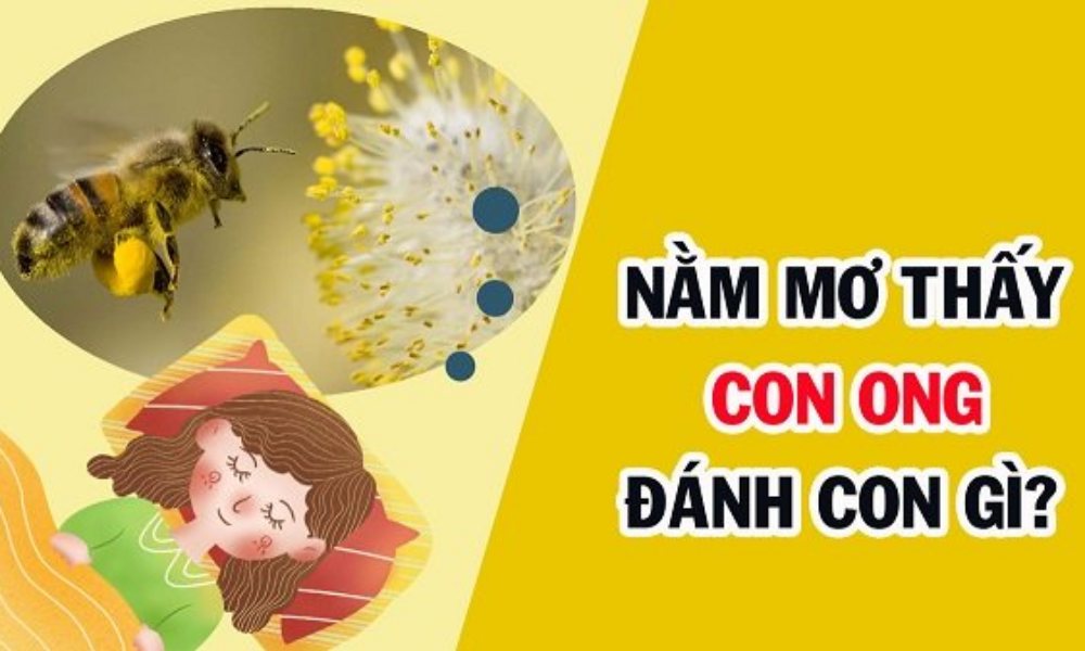 Mơ thấy con ong đánh số mấy? Giải mã chiêm bao thấy con ong