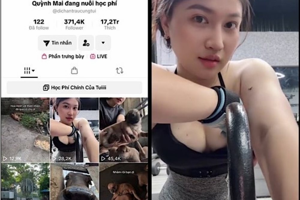 Clip Quỳnh Mai đang nuôi học phí gây sốt cộng đồng mạng