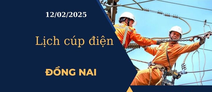 Lịch cúp điện hôm nay ngày 12/02/2025 tại Đồng Nai cập nhật mới nhất